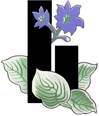 Avatar for Hillside Garden Landscaping Inc